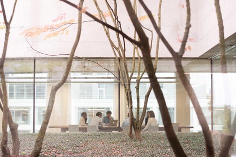 Codice sulla Trasparenza