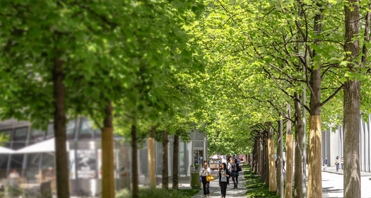 Environment, society and governance