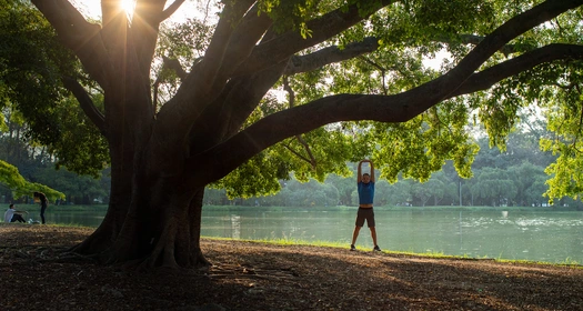 Environment, Society and Governance