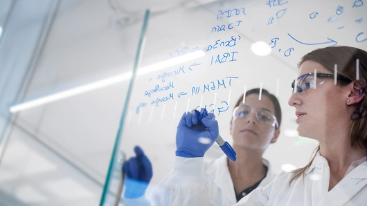 研究・教育活動