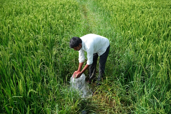 K Malesh, a farmer in the village of Sollakpally, now has ready access to water to irrigate his crops.