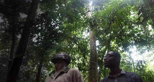 Responsabilidad corporativa