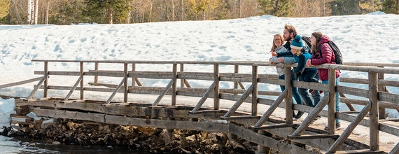 Une famille en randonnée en montagne fait une pause au bord d'un lac.