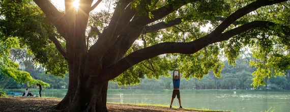 환경, 사회 및 가브넌스
