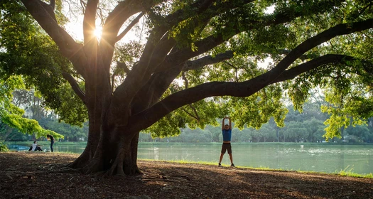 환경, 사회 및 가브넌스