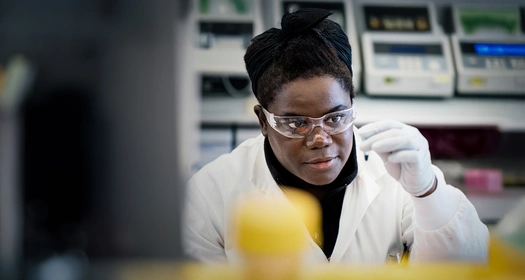 Investigação e Desenvolvimento