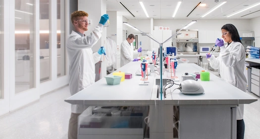 Forskare arbetar i ett laboratorium. Foto.