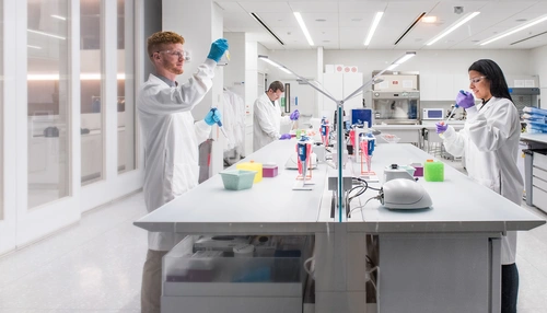 Forskare arbetar i ett laboratorium. Foto.